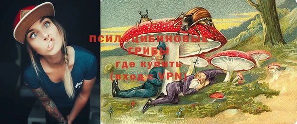 ПСИЛОЦИБИНОВЫЕ ГРИБЫ Надым
