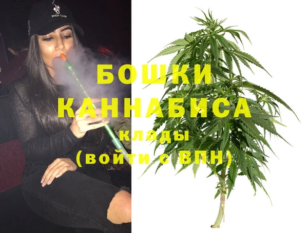 ПСИЛОЦИБИНОВЫЕ ГРИБЫ Надым