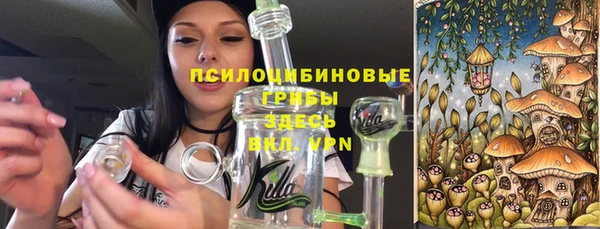 ПСИЛОЦИБИНОВЫЕ ГРИБЫ Надым