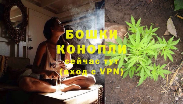 ПСИЛОЦИБИНОВЫЕ ГРИБЫ Надым