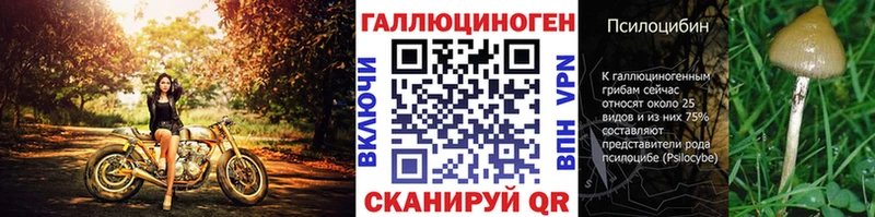 Псилоцибиновые грибы мухоморы  Новый Оскол 
